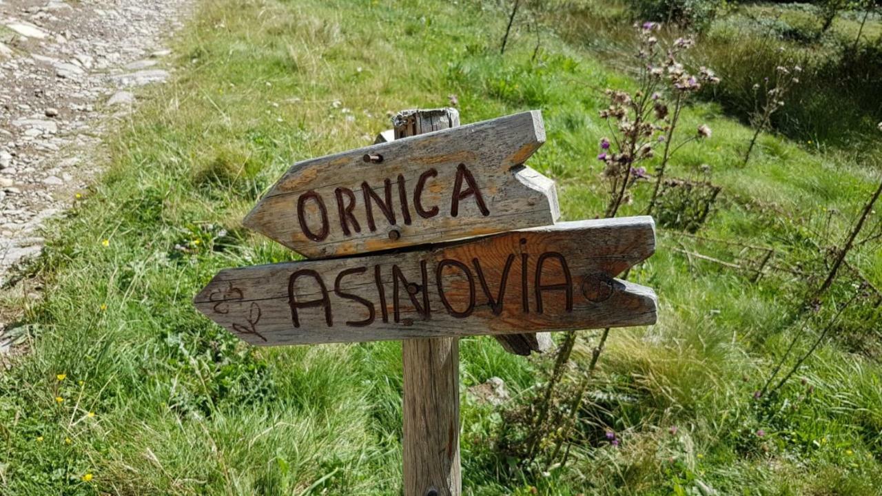 Ornica Casa Del Cirillo 아파트 외부 사진